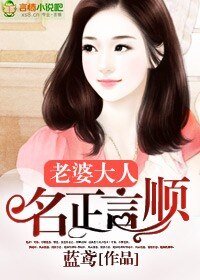 老婆大人,名正言顺