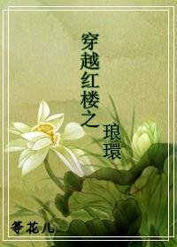 （红楼梦同人）穿越红楼之琅环