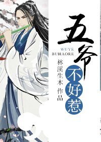 五爷不好惹-嫁给清代钻石男