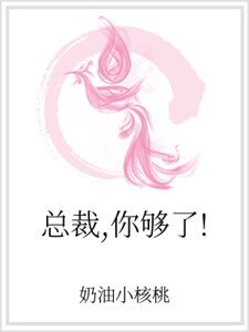 总裁，你够了！
