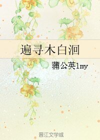 遍寻木白洄