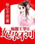 痴傻王爷II妃孕不可