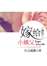 嫁给小姨父（婚恋）