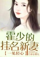 一见轻心 霍少的挂名新妻