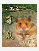 子鼠之霉鼠
