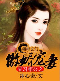见习相公之傲娇宠妻