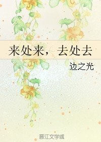 来处来,去处去