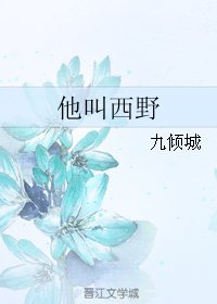 他钢西奉