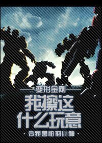 （BG-变形金刚同人）我擦这什么玩意