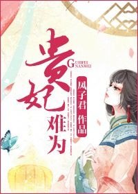 《贵妃难为》