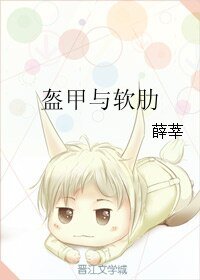 盔甲与软肋
