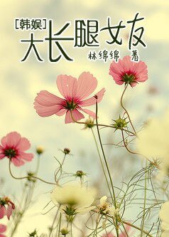 （BG-韩娱同人）韩娱之大长腿女友