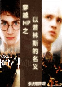 穿越HP之以普林斯的名义