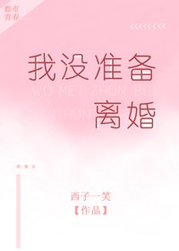《我没准备离婚》