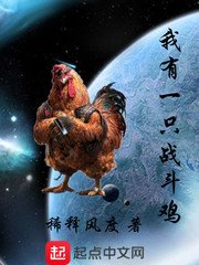 我有一只战斗畸