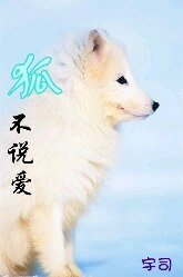 狐不说爱