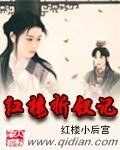《(红楼同人)红楼折钗记》