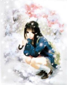 （网王同人）舞之梦