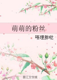 （韩娱同人）萌萌的粉丝