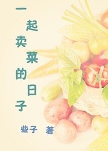 一起卖菜的日子