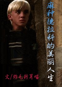 （HP同人）麻种德拉科的美丽人生