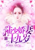 念念不忘:陆少娇妻十九岁