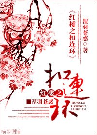 （红楼同人）红楼之扣连环