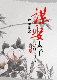 （综琼瑶同人）综琼瑶之谋娶太子