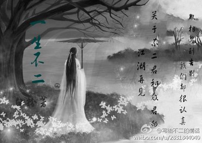 （网王同人）一生不二（allf）