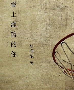 （BL/SD同人）爱上灌篮的你