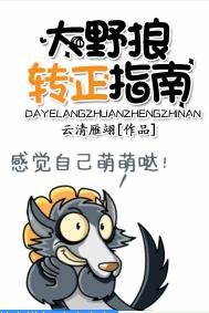 大野狼转正指南