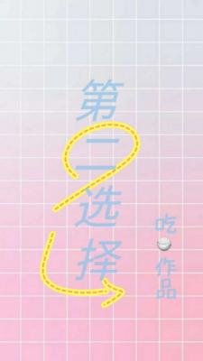 第二选择