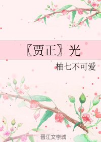 《(BL/贾正同人)光》