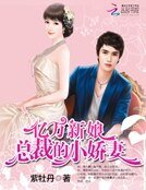 亿万新娘：总裁的小娇妻