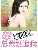 逃爱仙妻：总裁别追我