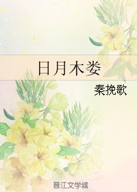 （伪装者同人）日月木娄