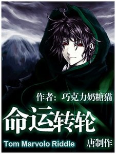 (HP同人)命运转轮