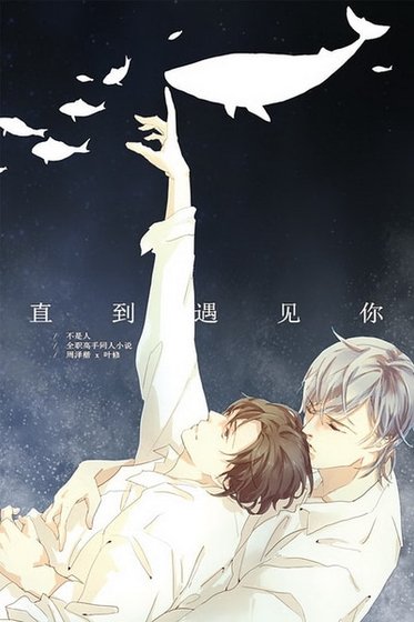 （全职同人）直到遇见你