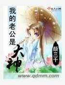 我的老公是大神