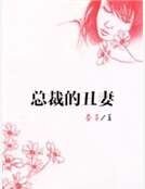 总裁的丑妻