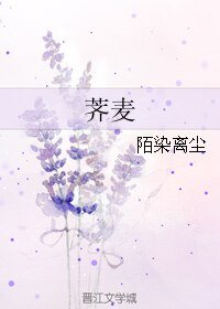 荠麦