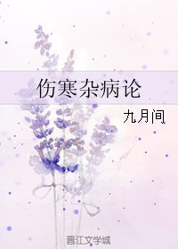 伤寒杂病论