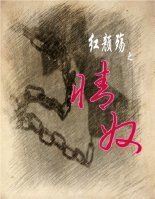 红颜殇之情奴