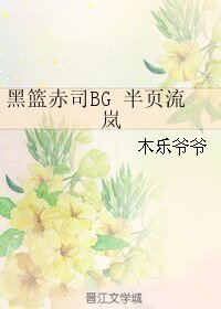 （黑篮同人）黑篮赤司BG 半页流岚