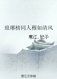 《(琅琊榜同人)琅琊榜同人穆如清风》