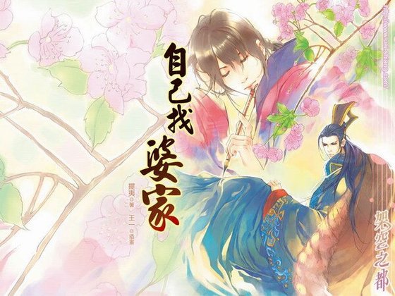 自己找婆家（出书版）