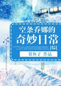 （综同人）[综]空条乔娜的奇妙日常