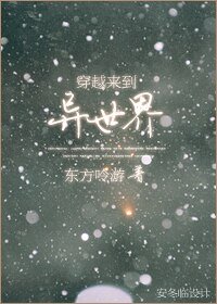 穿越来到异世界之北方城市