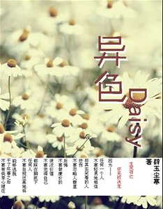 异色Daisy