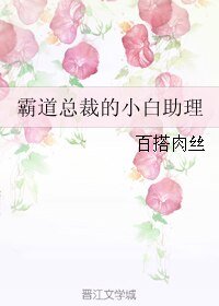霸道总裁的小白助理